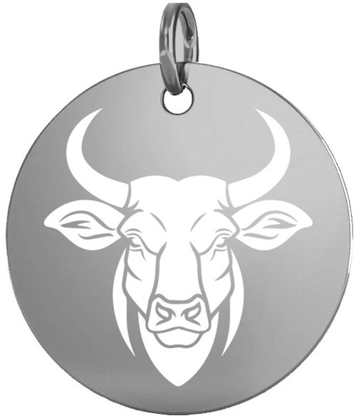 Stříbrný přívěsek znamení býk 15 mm