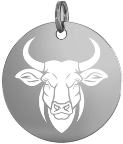 Stříbrný přívěsek znamení býk 15 mm