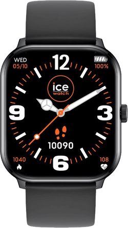 ICE-WATCH 021409