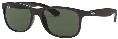 Ray-Ban RB4202 606971 - M (55-17-145)